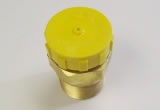 Protective filler valve cap